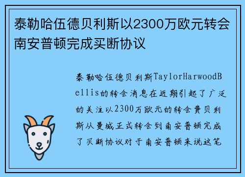 泰勒哈伍德贝利斯以2300万欧元转会南安普顿完成买断协议